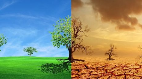 climate change climate change